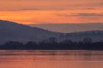 Inch Wildfowl Reserve