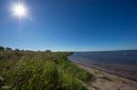 Strand auf Gotland