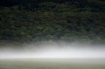 Nebel im Taunus #2.1