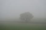 Nebel1