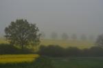 Nebel5