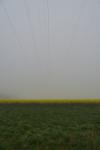 Nebel6
