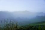 Nebelstimmung in der Eifel (Nürburg)