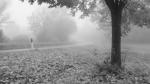 Herbstnebel4