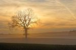 Novembersonne II