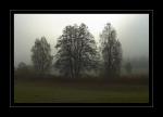 Herbst und Nebel