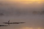 Morgenstimmung am Weiher