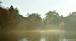 Nebel über dem Teich