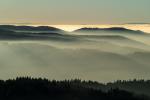 Schwarzwald im Nebeldunst