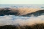 Fließender Nebel