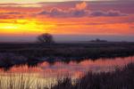 Nordfriesland im Winter