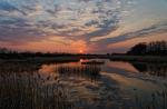 Sonnenuntergang am Weiher