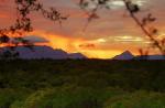 Sonnenuntergang im Lowveld