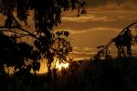 Abenddämmerung nach Gewitter