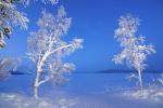 Blaue Stunde, Winterlandschaft