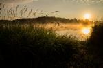 Sonnenaufgang im Waldviertel