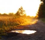 Frühmorgens im Moor