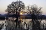 An der Havel neu