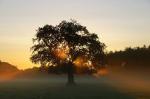 Sonnenaufgang im Frühherbst