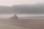 Hochstand im Nebel