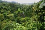 Jungle waterfall