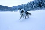 Schnee auf der Alb