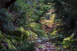 Der Weg da durch 1