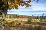 Herbst 2024_5