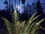 Herbst 2024_1