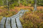 Im Herbst 06