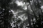 Mourne seychellois national park