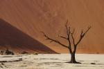 Dead Vlei