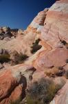 Valley of Fire 14