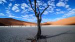 Deadvlei