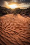 valley of fire hoch