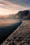 Feld