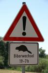 Vorsicht: Biberwechsel