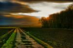 Spaziergang im Feld HDR