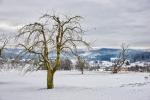 Winterlandschaft