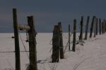 Weidezaun im Schnee