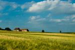 Sommer auf der Alb II