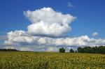 Der Himmel über Brandenburg – 2