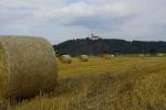 Blick auf Bogenberg