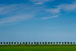 Irgendwo in Holland