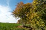 Weg in den Herbst