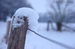 Zaunpfahl mit Schneehaube