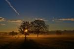 Herbstweide