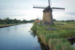 Molen