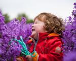 Quietsch: bunt und vergnügt