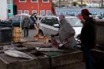Fischverarbeitung in Kapstadt